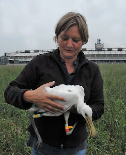 Ellen Sandberg with Spoonbill