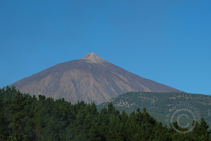 Tenerife