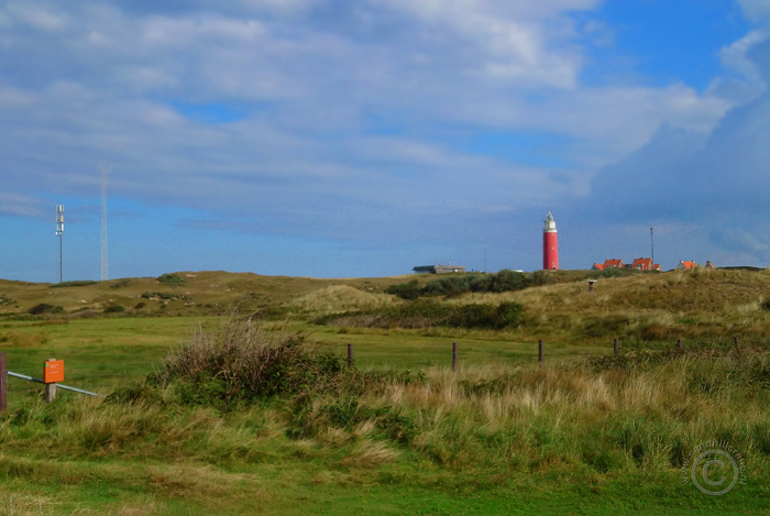 Texel